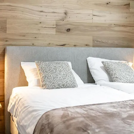 Dağ evi Tauernlodge Eben D3