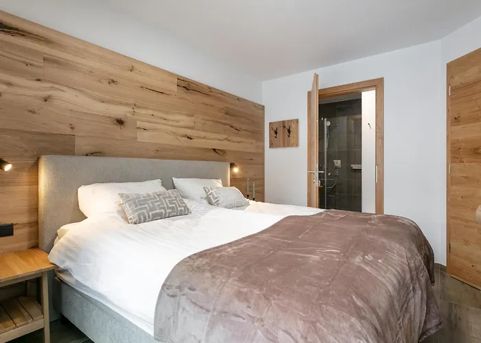 Tauernlodge Eben D3 * Eben Im Pongau